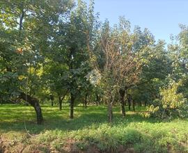 TER. AGRICOLO A NOCERA SUPERIORE