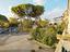 Immagine 8