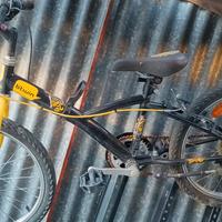 Mountain bike da bambino mis. 20