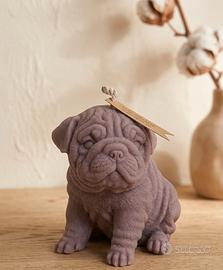 Candela decoratica Bulldog