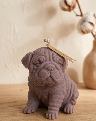 Candela decoratica Bulldog