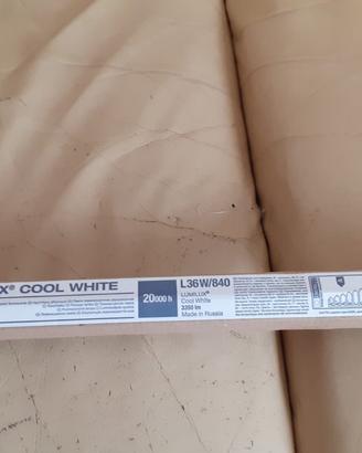 Neon Osram NUOVI L36W/840 (5 pezzi) con stater
