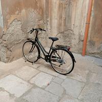 bicicletta da passeggio 