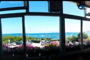 Bar - Gelateria - Ischia Ponte