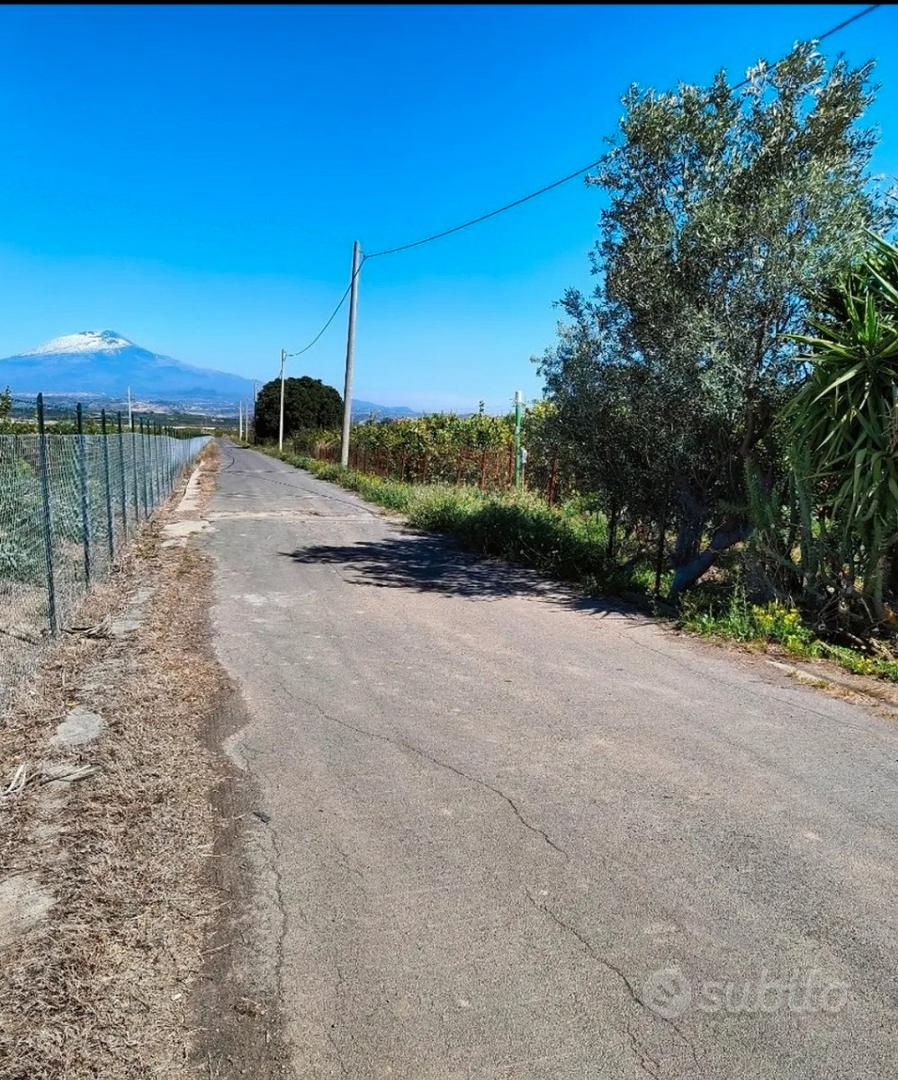 Terreno agricolo uliveto - Vista 4