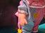 Immagine 4