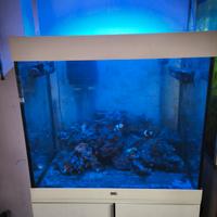 acquario lido 200