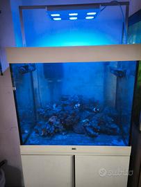 acquario lido 200