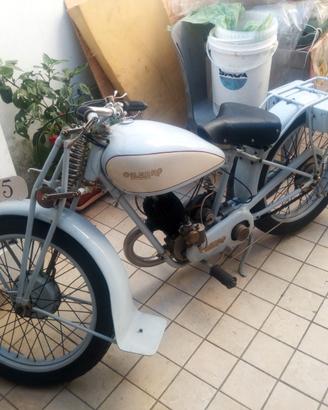 BSA Ollearo Morini Tresette Red Panther MotoBi
