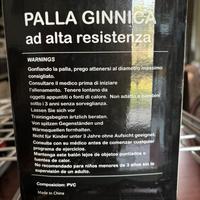 Palla ginnica ad alta resistenza Get fit