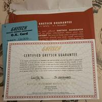 Gretsch White Falcon 6136 tg