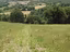 Immagine 13