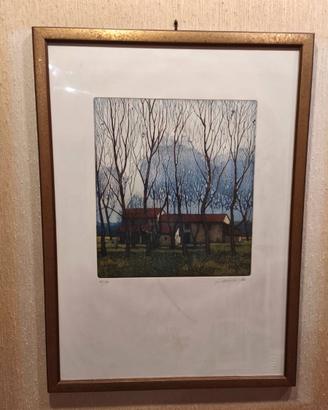 Oliviero Masi, acquaforte a colori Campagna