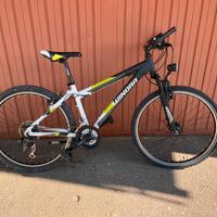 Winora mtb bici da ragazza