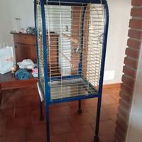 Gabbia per pappagallo