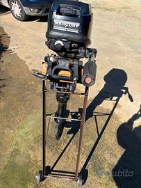 Motore nautico Mercury 10 cv