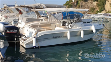 Mingolla brava 26 wa