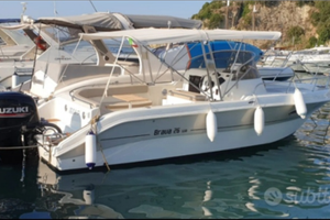 Mingolla brava 26 wa