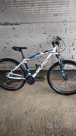 Bici olmo