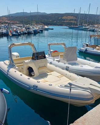 GOMMONE STINGHER 22 CON MOTORE SELVA 200