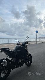 Keeway RKF 125 - 2024