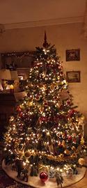 albero meraviglioso 