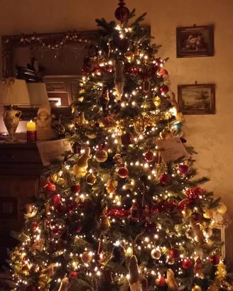 albero meraviglioso 