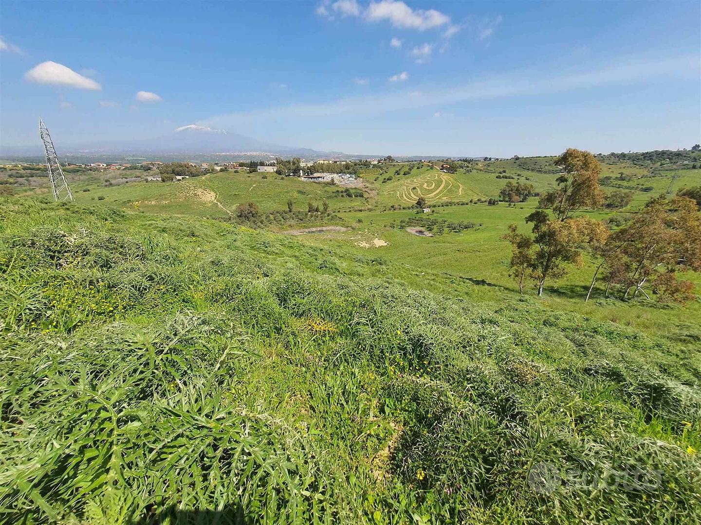 Rif.CG14| terreno agricolo motta sant'anastasia - Vista 5