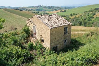 Rustico e 5 ettari di terreno 