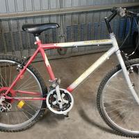 Bicicletta mountain bike.