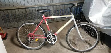 Bicicletta mountain bike.