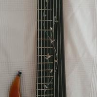 Basso 9corde(5 corde+4 corde fretless)