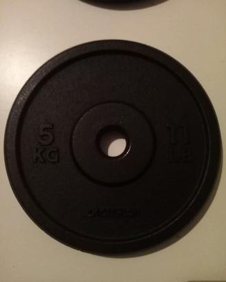 dischi 5 kg domyos