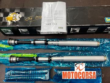 Coppia pompanti Ohlins FKR Panigale 1199 R