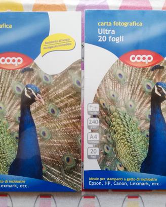 Carta fotografica