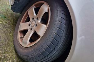 Auto tenuta da amatore