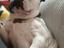 Immagine 2
