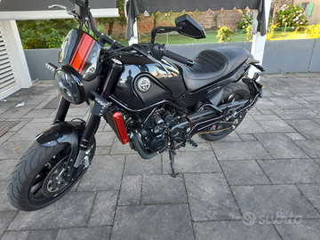 Benelli leoncino 500