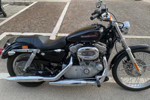 Harley Davidson 883 custom