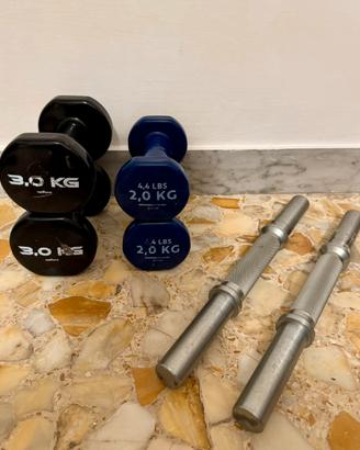 Manubri bodybuilding