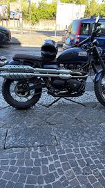Triumph scrambler 900