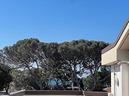 attico-panoramico-a-castiglioncello-luce-e-riserv