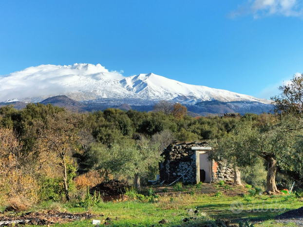 Terreno agricolo Belpasso