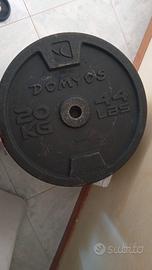 2 dischi pesi in ghisa Domyos da 20 kg