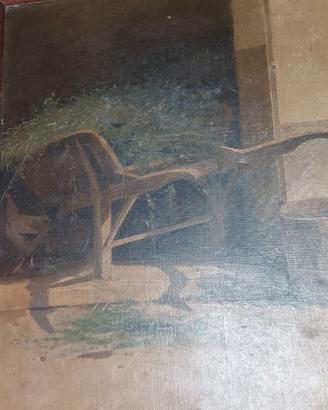 Quadro '800