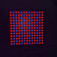 Growlight - Luce LED per piante