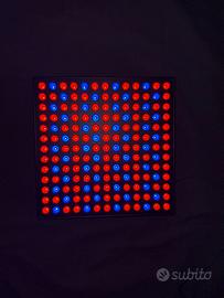 Growlight - Luce LED per piante