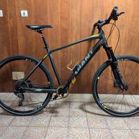 Bici ibrida Giant Roam 1