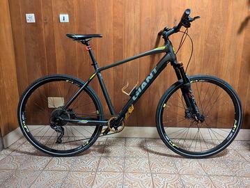 Bici ibrida Giant Roam 1