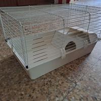 Gabbietta per coniglio nano